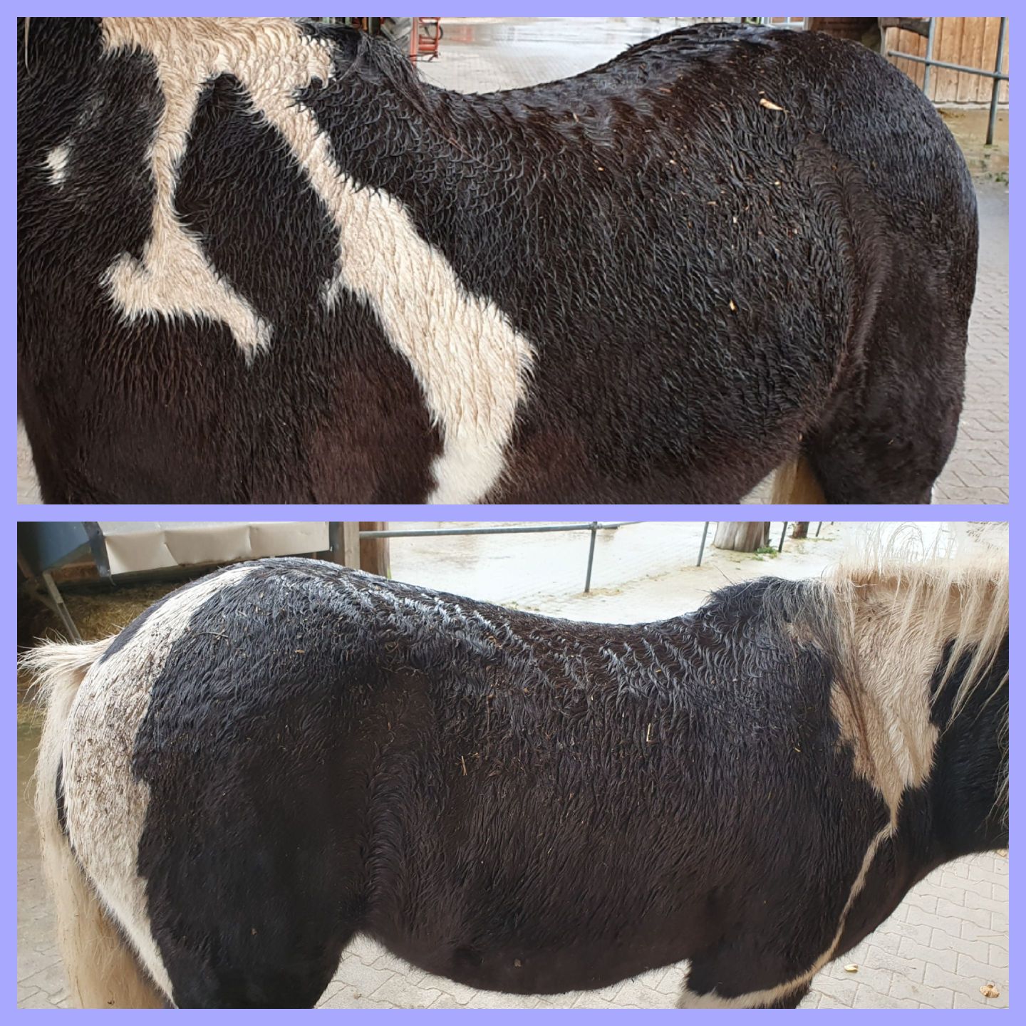 2023 11 November 597